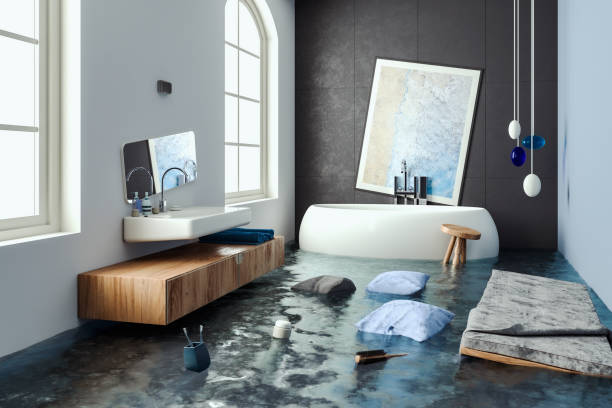 Best Water damage restoration specialists  in Eureka, MO