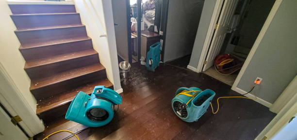 Best Basement water damage restoration  in Eureka, MO