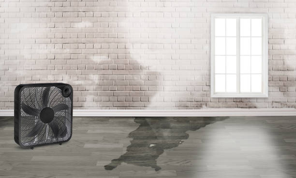 Best Emergency water damage restoration  in Eureka, MO