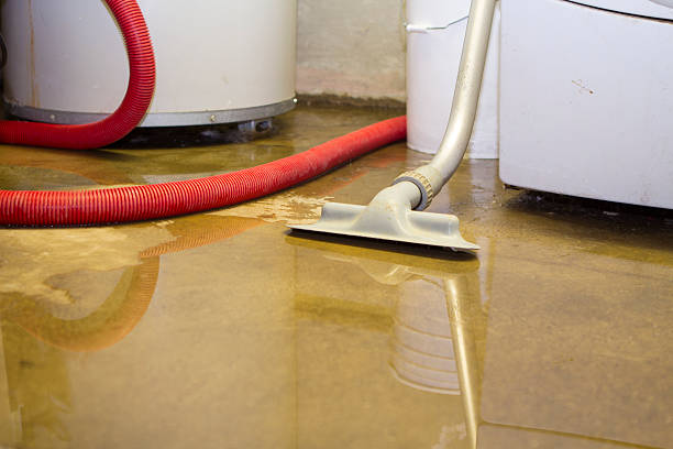 Best Commercial water damage restoration  in Eureka, MO