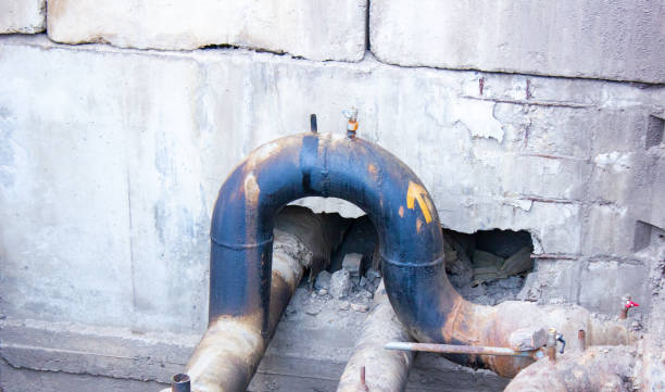 Best Mold removal after water damage  in Eureka, MO