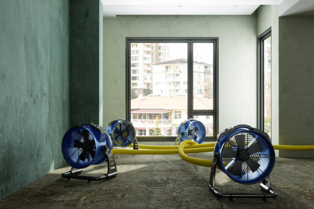 Reliable Eureka, MO Water damage restoration Solutions